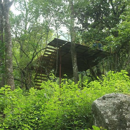 Secret Valley Jungle Resort Ooty Ngoại thất bức ảnh