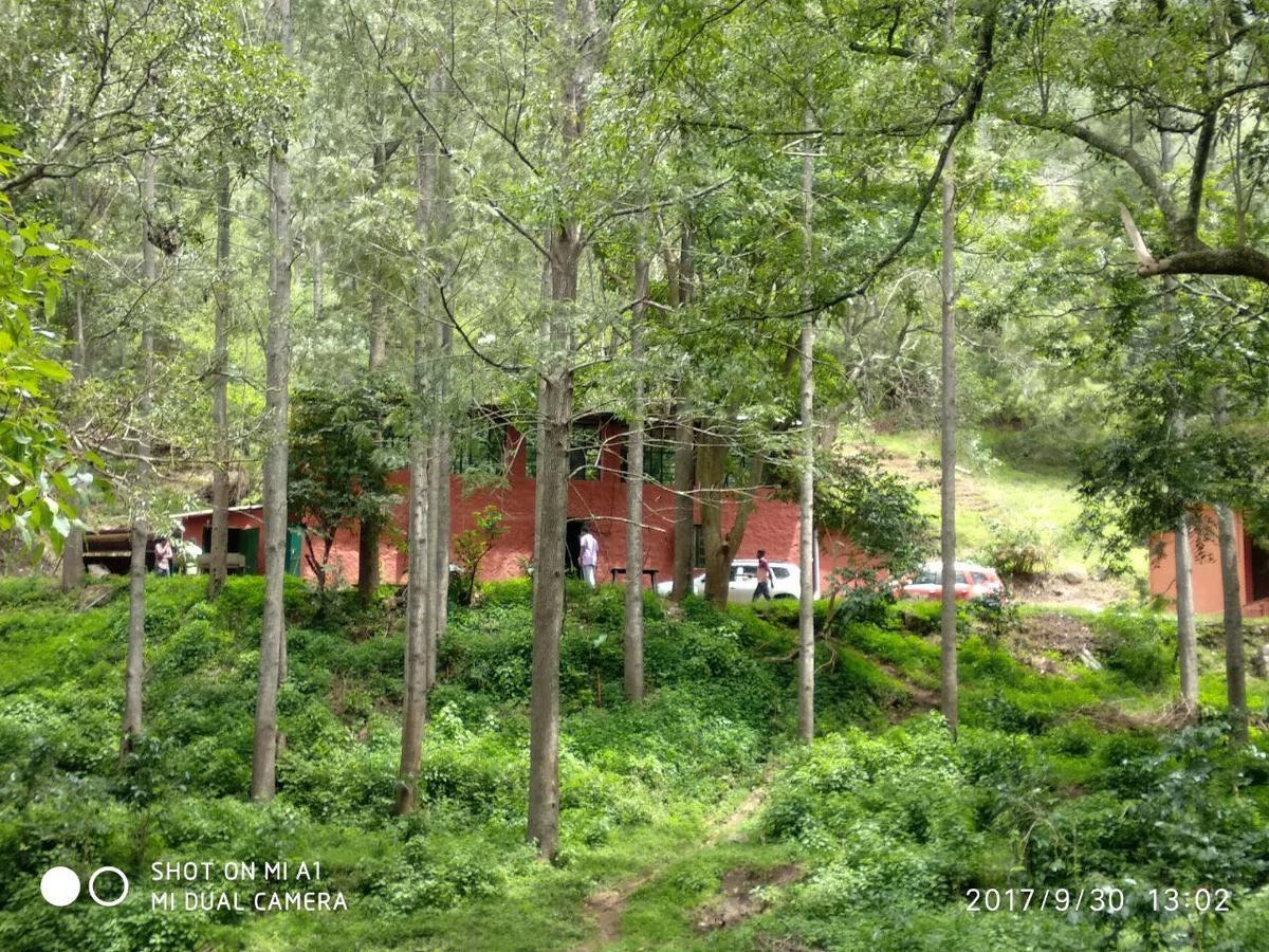 Secret Valley Jungle Resort Ooty Ngoại thất bức ảnh