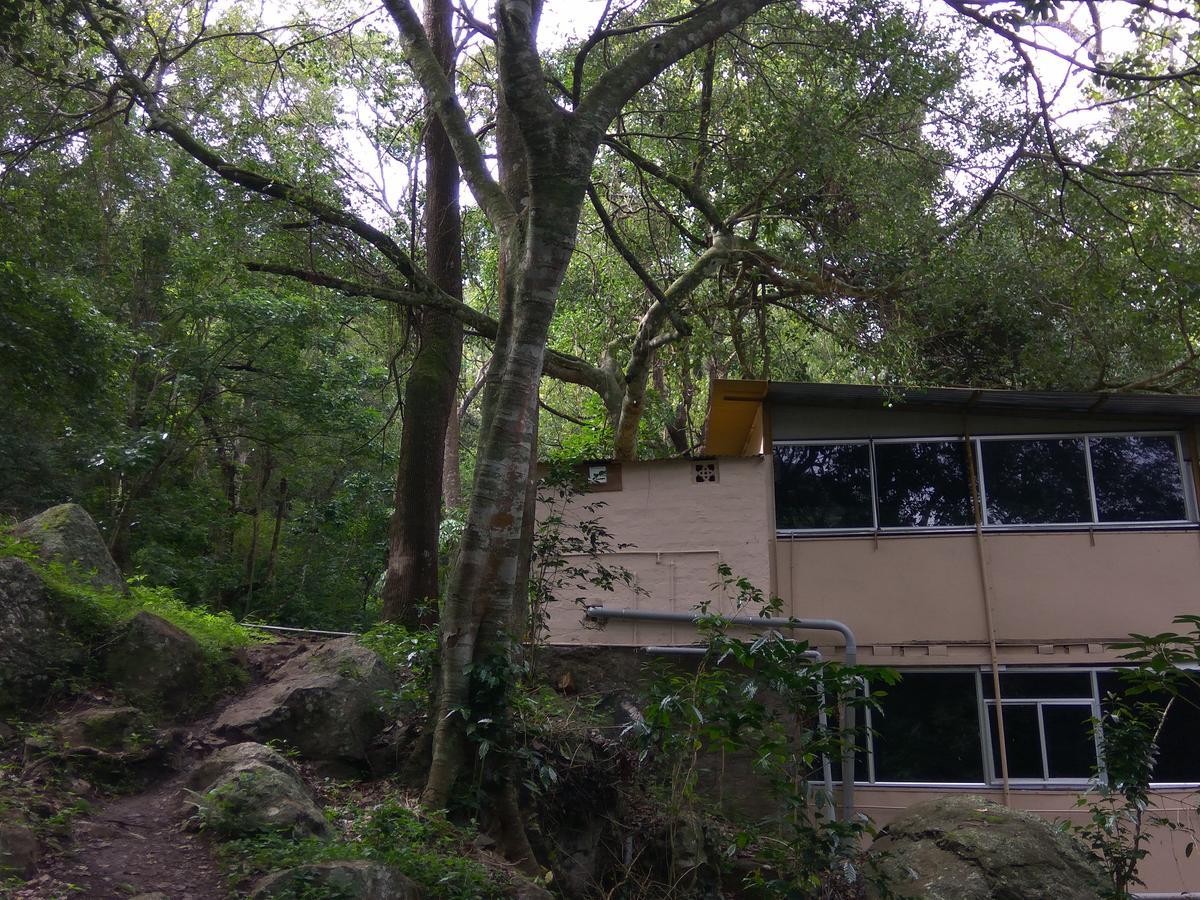 Secret Valley Jungle Resort Ooty Ngoại thất bức ảnh