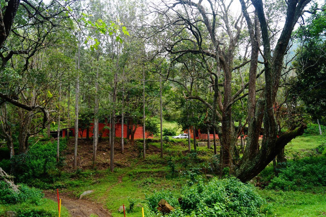 Secret Valley Jungle Resort Ooty Ngoại thất bức ảnh