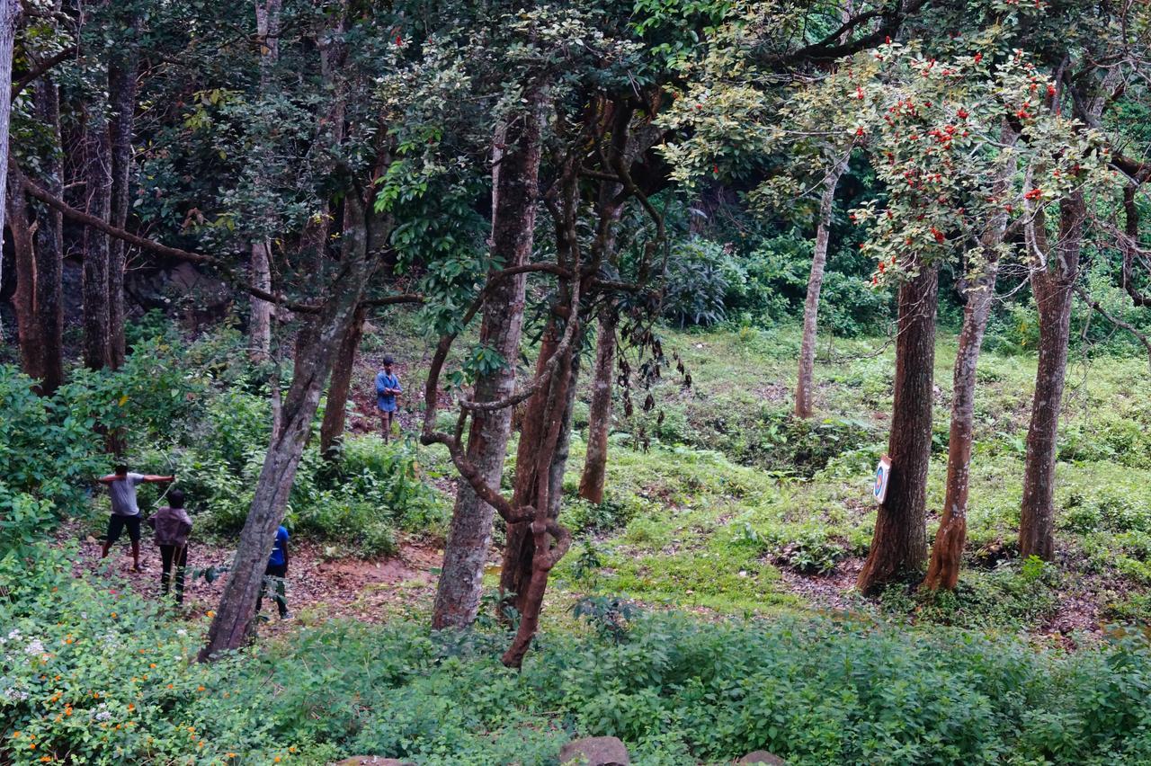 Secret Valley Jungle Resort Ooty Ngoại thất bức ảnh