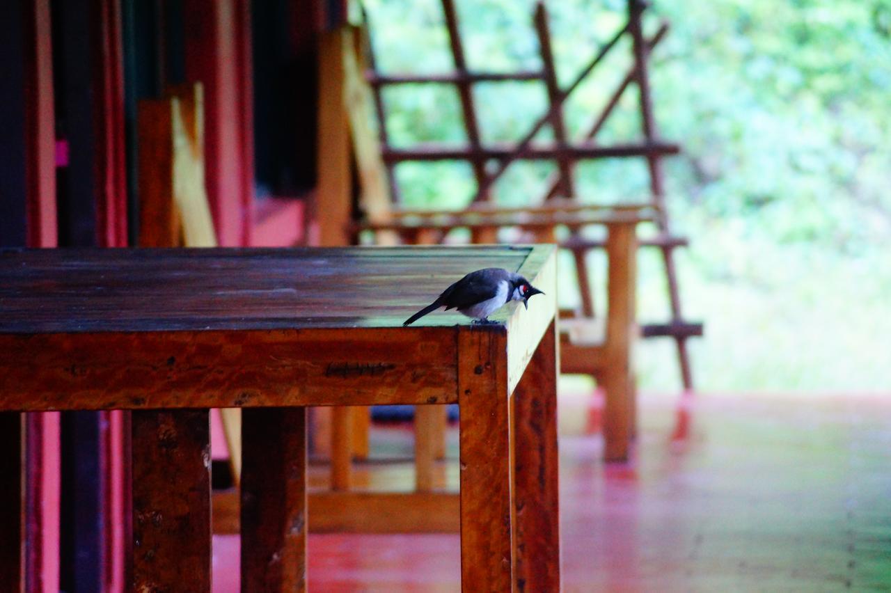 Secret Valley Jungle Resort Ooty Ngoại thất bức ảnh