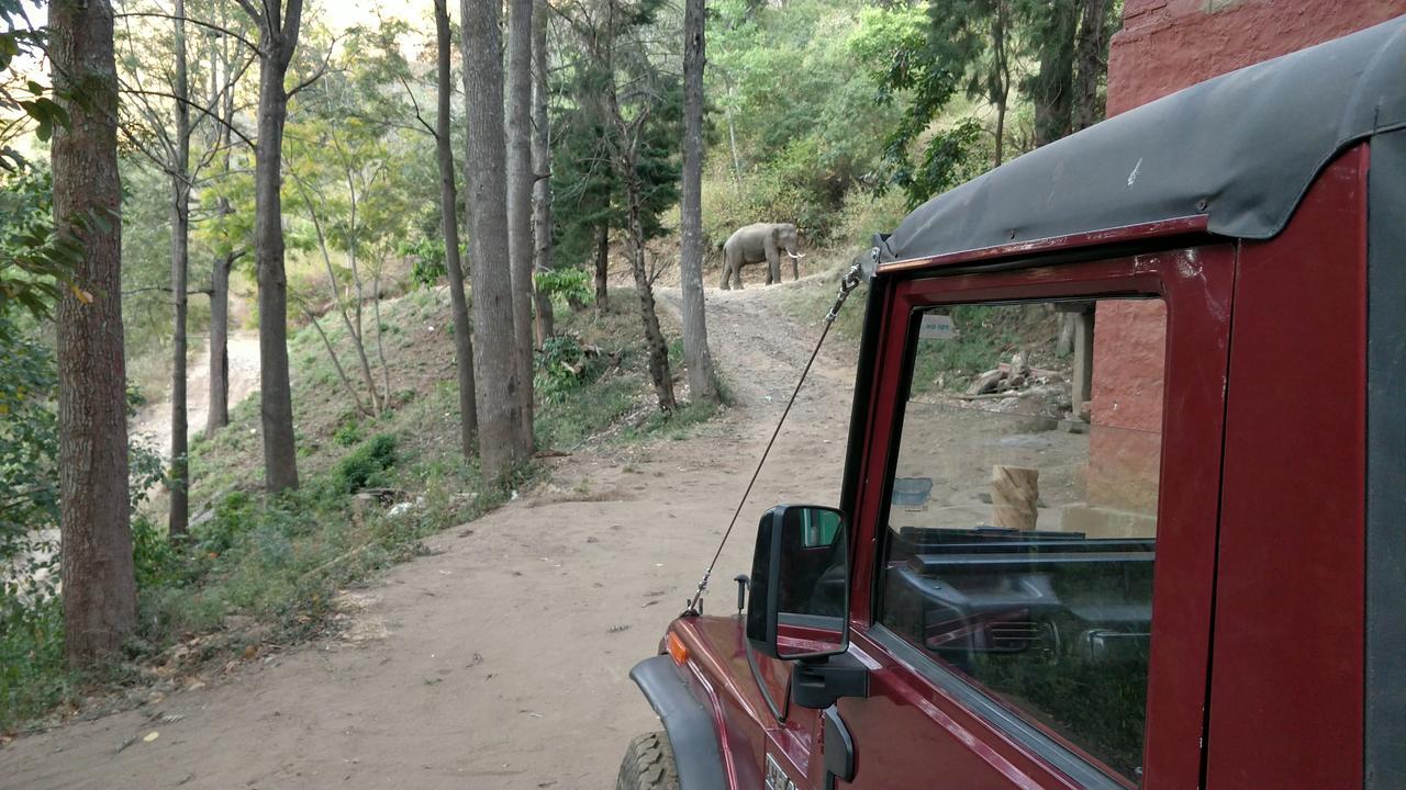 Secret Valley Jungle Resort Ooty Ngoại thất bức ảnh