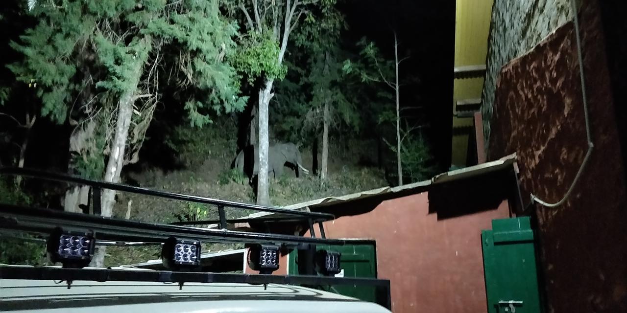 Secret Valley Jungle Resort Ooty Ngoại thất bức ảnh